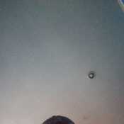 alemm5