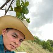 fer7rey