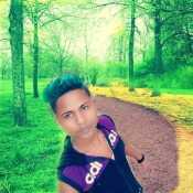 msk50Calcutta