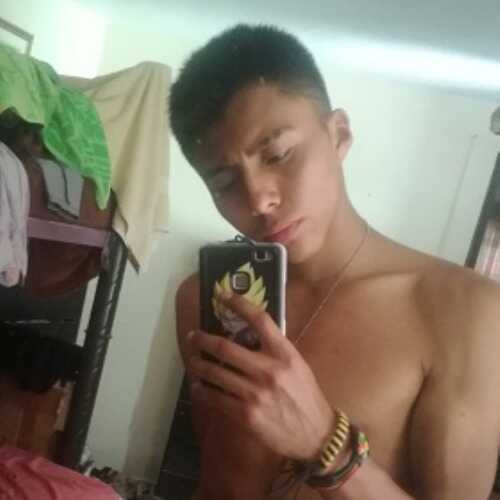 CRIS2344