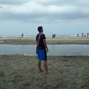 andreybetanco470