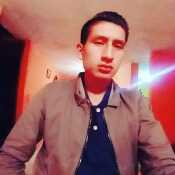 alexande906