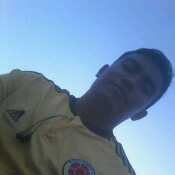 dorlandisda323