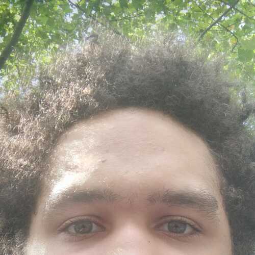 jakethepolarb716