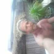 patome293