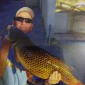 Carpman 