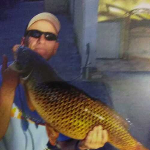 Carpman 