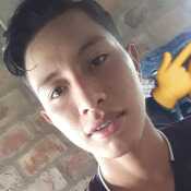 alexiar635