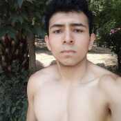 axelr352