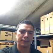 fenix381