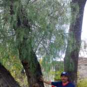juanfcovar4551