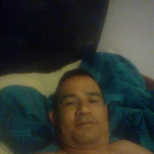 Elenano43