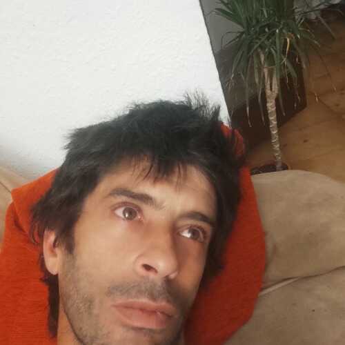 txas316