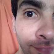 Danicolon