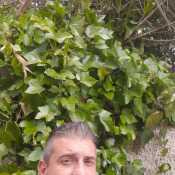 albertobuenodelg451