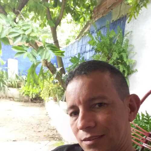 miguelan491
