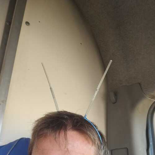 antman 