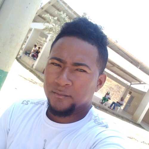 daimerrip824