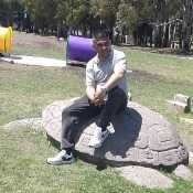 Stcelina