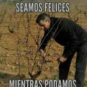 moreno512
