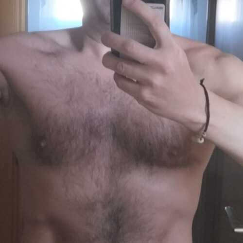 Varg245