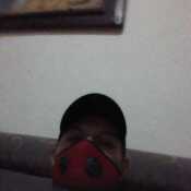 bogy826
