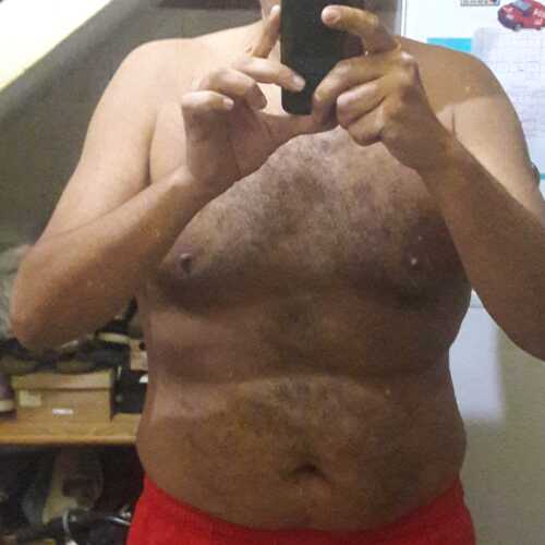 perro65