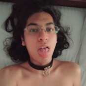 IcarusThePupp