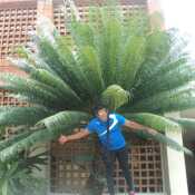ANDRES4876