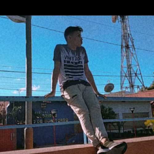 denismiguelgo781