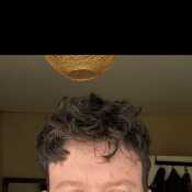 Seb