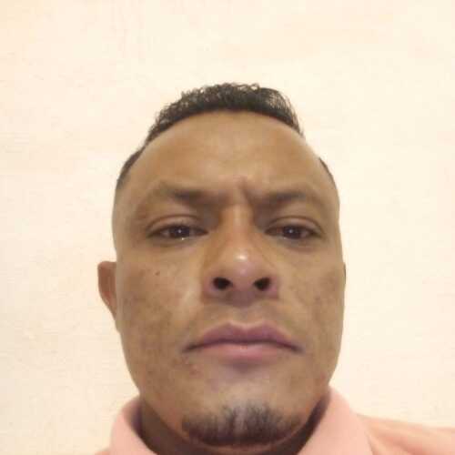 montan224