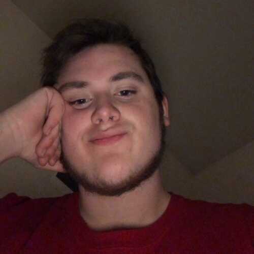 53dylan