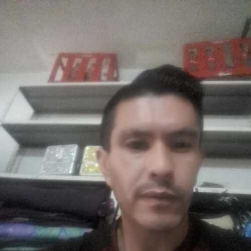 fidelgonza738