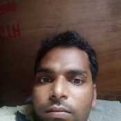 mdni493