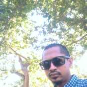 bcged433