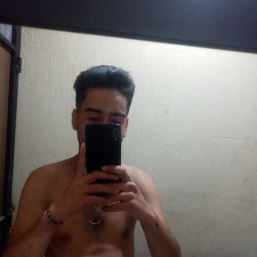 Cachorro 19