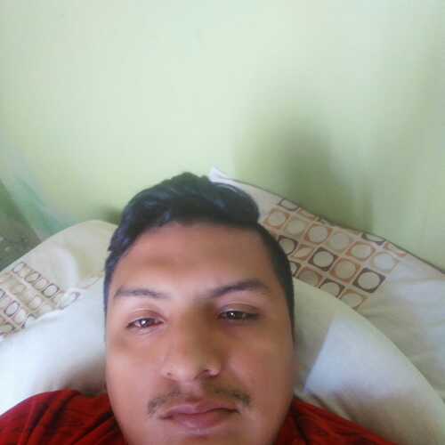 percyro691