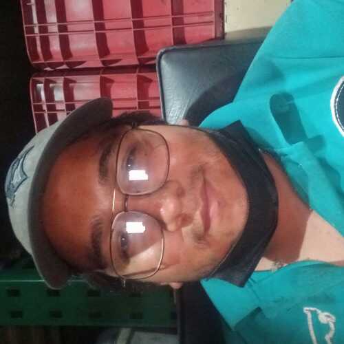 damia738