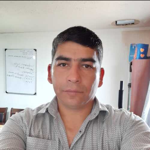 Tomy