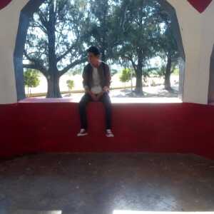 dmtz04
