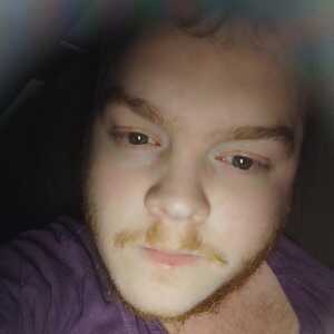 Arastolt