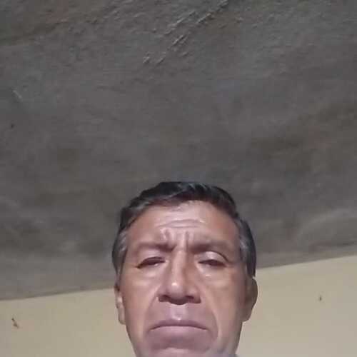 faustoyacchir985