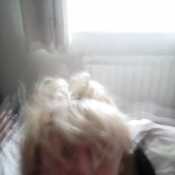 shellysatinHendon