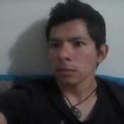 wilmar304