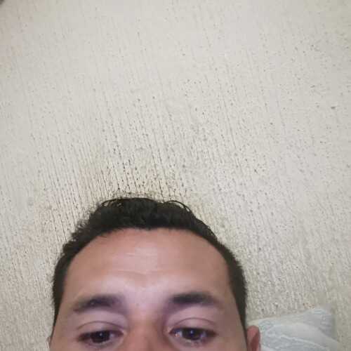 manzogera009
