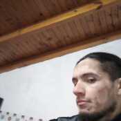 Grevve