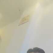Adolf79