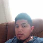antoniol594