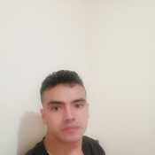 mayeranto592